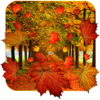 Fall Live Wallpaper icon