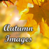 Autumn Images icon