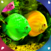 Aquarium Live Wallpapers icon