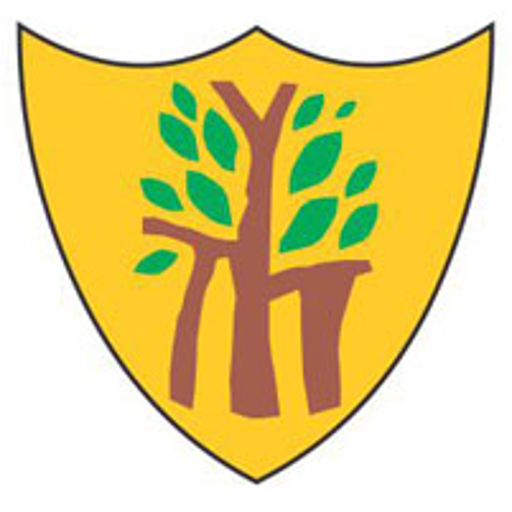 Dikshant International School icon