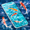 Fish 4K HD Koi Live Pond 3D icon