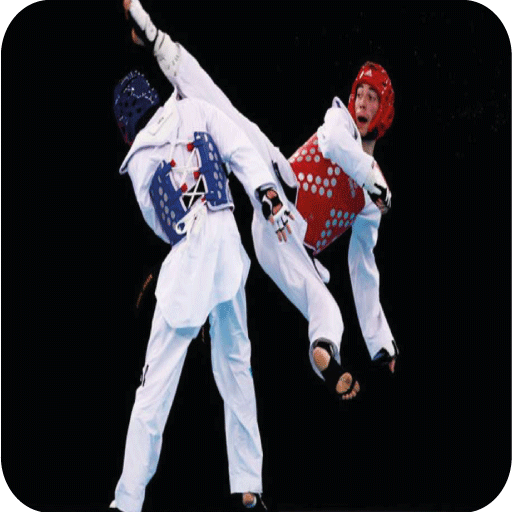 Taekwondo Techniques icon