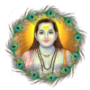 Baba Balak Nath Ji icon