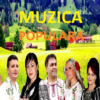 Muzică Populară in Română icon