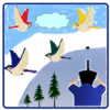 Shoot The Birds icon