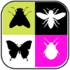 Insects Soundboard App icon