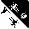 Black & white ski challenge icon