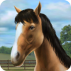 My Horse icon