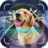 Dog Scanner: Breed Identifier icon