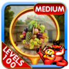 Challenge #125 Little Hut Free Hidden Object Games icon