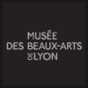 Musée des BeauxArts de Lyon icon