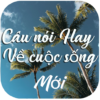 Câu nói hay về cuộc sống icon