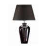 NightLight with voice control icon