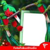 Quetzal Insta DP icon