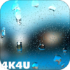 4K Rain Drops on Screen Live Wallpaper icon