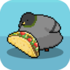 Pigeon Raising icon