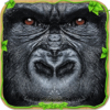 Ultimate Gorilla Simulator icon