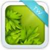 Green Maple Leaves Keyboard icon