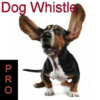 Dog Whistle icon