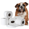 Dog Potty Training icon