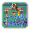 Руководство по Clash Royale icon