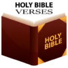 Holy Bible Verses By Topic King James Version icon