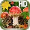 Leaves Mushroom HD LWP icon