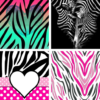 Zebra Print Wallpapers: HD images Free download icon