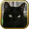 Free Black Cat Puzzles icon