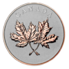 Coins of Canada Price Guide for Canadian Coins icon