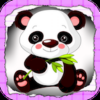 Panda Babies Learning Fun Free icon