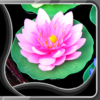 Lotus Live Wallpapers icon