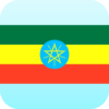 Amharic English Translator icon