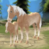 Horse Paradise My Dream Ranch icon