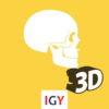 Anatomy 3D icon