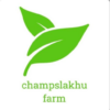 Champslakhu farm icon