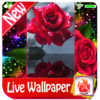 Red rose Live Wallpaper 2019 free Red rose LWP icon