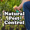 Natural Pest Control icon