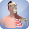 3D Cervical Dystonia icon