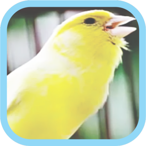 Masteran Kicau Burung Kenari icon