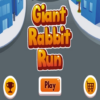 Giant Rabbit Run Expert Player icon