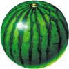 watermelon prober icon