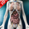 Human anatomy 3D: Organs and Bones icon