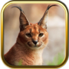 Free Wild Cats Puzzles icon