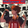 Haikyuu Volleyball Wallpaper Anime icon