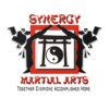 Synergy Karate icon