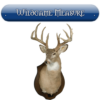 Wildgame Measure icon