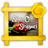 Sher O Shayari icon