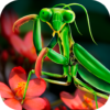 Mantis Life and Hunting Simulator icon