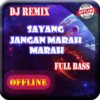 DJ Sayang Jangan Marah Marah Remix Offline icon